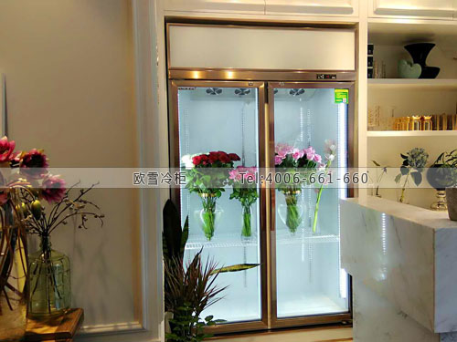 鮮花保鮮柜.jpg