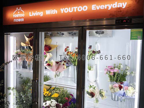 鮮花保鮮柜.jpg