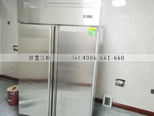 廚房不銹鋼冰柜.jpg 廚房不銹鋼冰柜.jpg