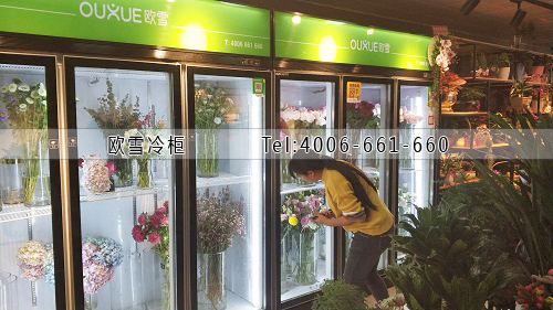 鮮花保鮮柜冰柜價格.jpg 鮮花保鮮柜冰柜價格.jpg