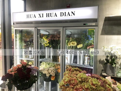 鮮花保鮮柜.jpg 鮮花保鮮柜.jpg