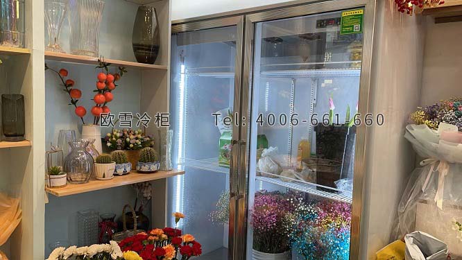 鮮花保鮮冷柜.jpg