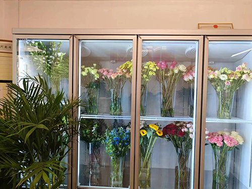 鮮花保鮮柜.jpg
