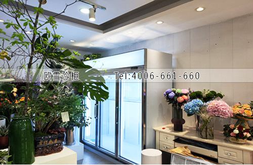 鮮花保鮮柜.jpg 鮮花保鮮柜.jpg