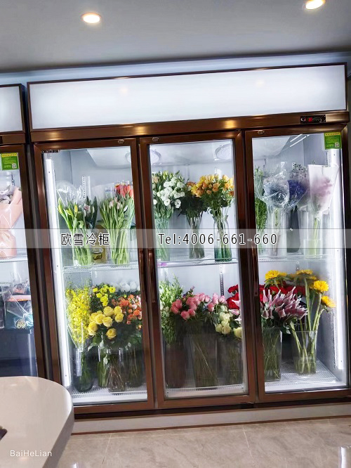 鮮花保鮮柜.jpg 鮮花保鮮柜.jpg