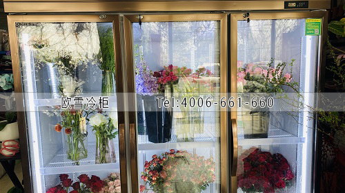 鮮花保鮮柜.jpg