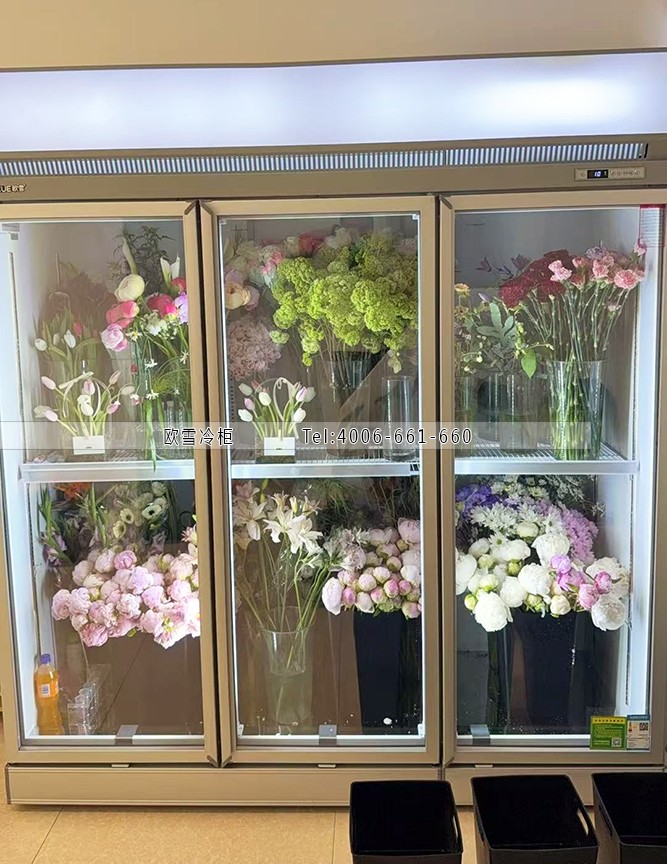 1759127885823981.jpg 1-1.jpg