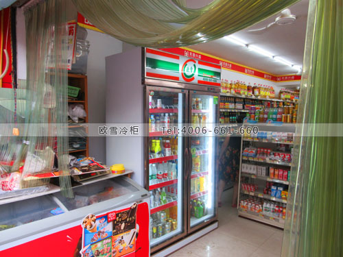 A226重慶市沙坪壩區(qū)芙蓉興盛便利店飲料展示柜