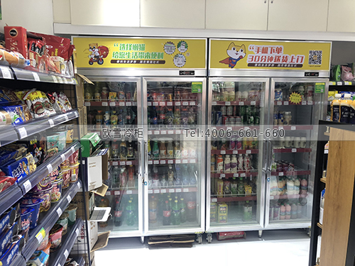 A223湖北省武漢市洪山區(qū)懶貓社長(zhǎng)便利店冷藏柜