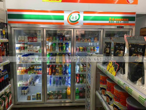 A235福建省廈門(mén)市湖里區(qū)吉品吉送便利店冰柜