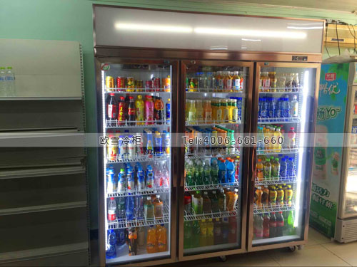 A289湖北省武漢市吉時(shí)買便利店冷藏展示柜