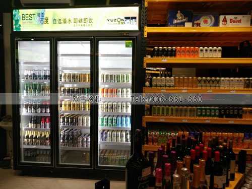 A366廣西省百色市優(yōu)贊酒庫德國啤酒店冷藏柜