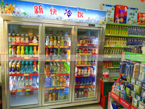 A364山東省日照市新快便利店冷藏柜