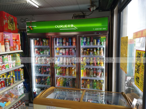 A323湖南省長(zhǎng)沙市開發(fā)區(qū)蔚然錦和飲料展示柜