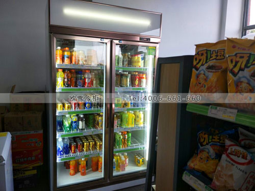 A282浙江省杭州市經(jīng)濟開發(fā)區(qū)樂康便利店冷柜