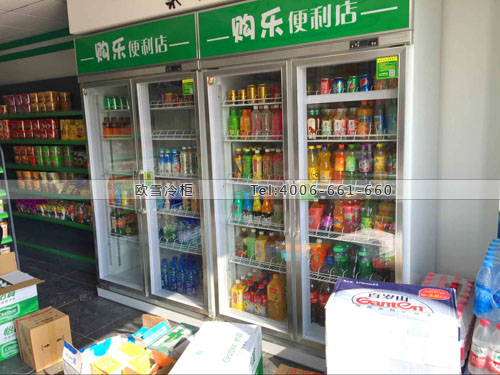 A287湖北省武漢市購樂便利店冷柜