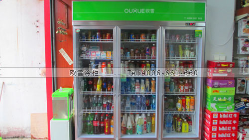 A295廣西省南寧市如意嘉便利店飲料展示柜