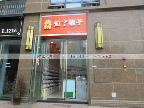A254重慶市九龍坡區(qū)知了鋪子便利店冰柜