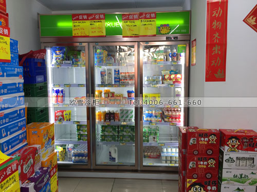 A349上海市閘北區(qū)光明乳制品批發(fā)站冷藏展示柜