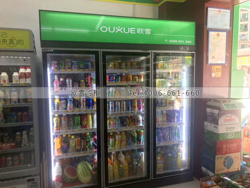 A362江西省南昌市高新開發(fā)區(qū)時代惠家飲料冷柜
