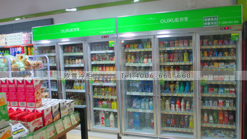 A277廣西省南寧市西鄉(xiāng)塘區(qū)才范便利店冷柜