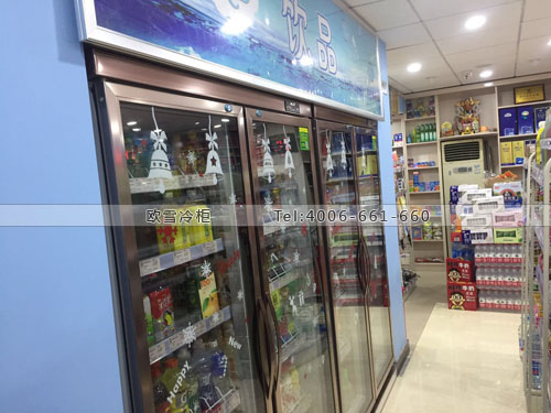 A293上海浦東新區(qū)仟佰便利飲料展示柜