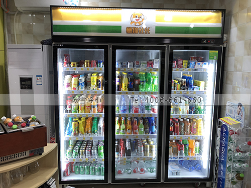 A288湖北省武漢市洪山區(qū)懶貓社長智能便利店飲料柜