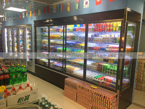 A337廣東省廣州市番禺區(qū)懶蟲便利店冷藏柜