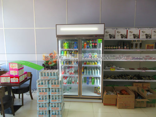 A358重慶市北部新區(qū)集食惠冷藏展示柜