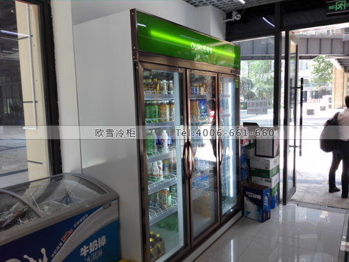 A344四川省成都市高新區(qū)藝鑫商行便利店冷柜