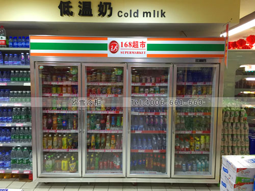 A291湖南省邵陽市洞口縣168超市飲料展示柜
