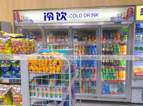 A263湖北省武漢市江夏區(qū)所客便利店冰柜