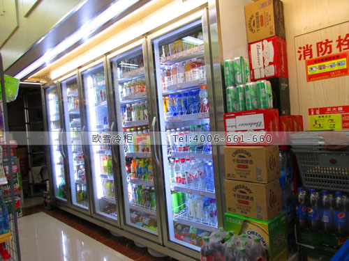 A260浙江省杭州市余杭區(qū)十全十美便利店冰柜