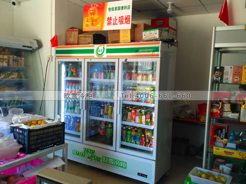 A259北京市通州區(qū)怡佳便利店冰柜