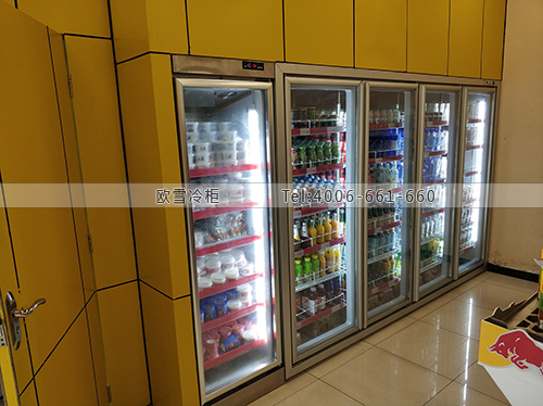 A410北京市大興區(qū)東方時(shí)尚駕校飲料展示柜