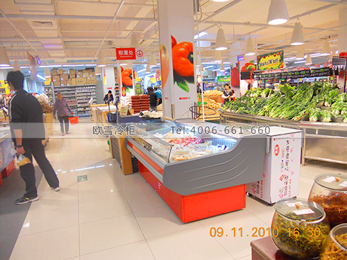 B014東莞嘉榮購(gòu)物廣場(chǎng)鮮肉冷藏柜-東莞鮮肉保鮮展示柜