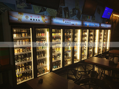 A392北京市朝陽區(qū)啤酒先生冷藏展示柜