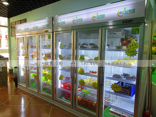 B004江蘇省南京市雨花臺(tái)區(qū)坤記輕果園保鮮展示柜