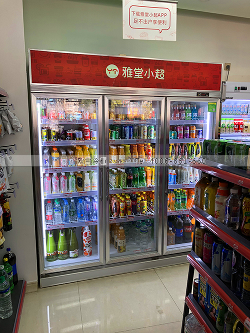 A378江西省南昌市西湖區(qū)雅堂小超飲料展示柜