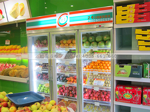 B069上海松江金芙蓉水果專賣店保鮮展示冰柜冷柜-立式水果保鮮冷藏柜