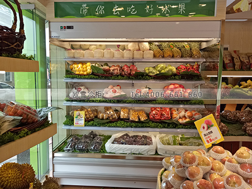 B042廣東省東莞市莞城區(qū)花果鮮冷藏展示柜