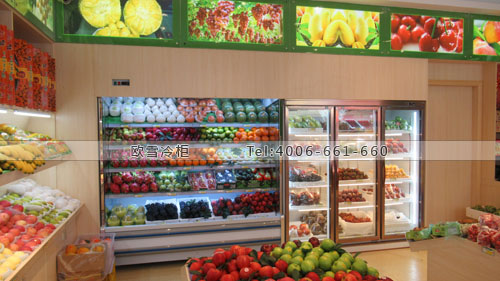 B079廣東省東莞市大朗鎮(zhèn)奇特鮮水果保鮮展示柜