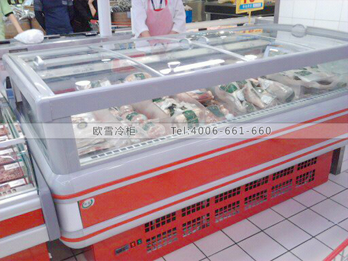 B176深圳寶安家樂(lè)福鮮肉冷柜冰柜