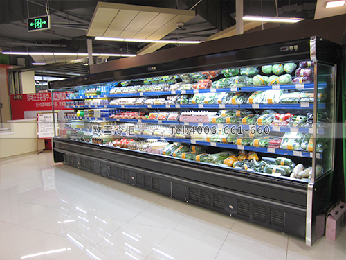 B146上海閔行蓮花廣場東品西食超市食品冷柜冰柜-超市食品冷凍柜