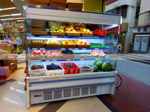 B282廣東省深圳市南山區(qū)美宜多超市保鮮展示柜