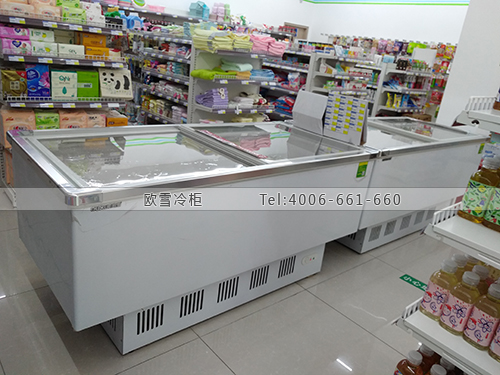 B255四川省成都市高新區(qū)叁號(hào)便利店飲料冷柜
