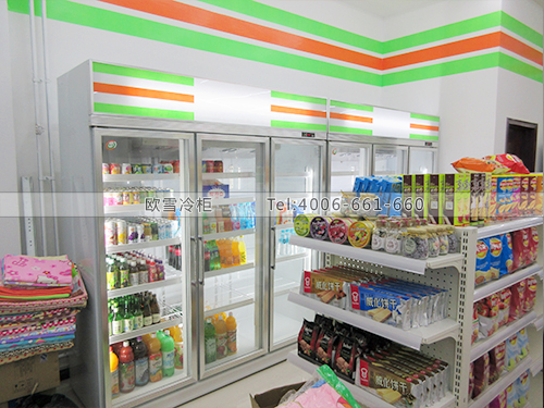 B296天津西青區(qū)100%鮮超市冷柜冰柜