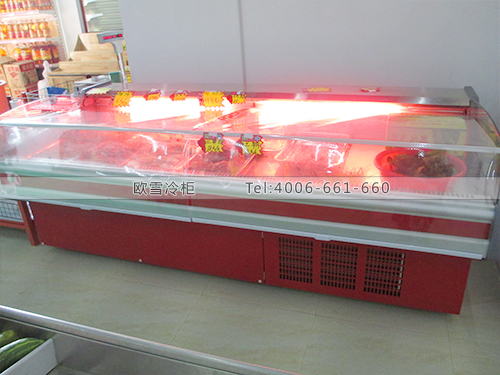 B208廣西南寧田冠百貨超市鮮肉冷柜