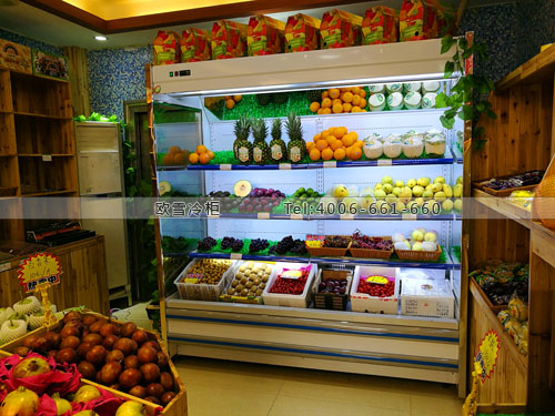 B202廣東省深圳市龍崗區(qū)四季果園水果保鮮柜
