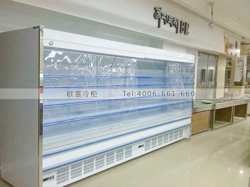 B337西藏日喀則市旺家福購(gòu)物廣場(chǎng)冷藏冷柜